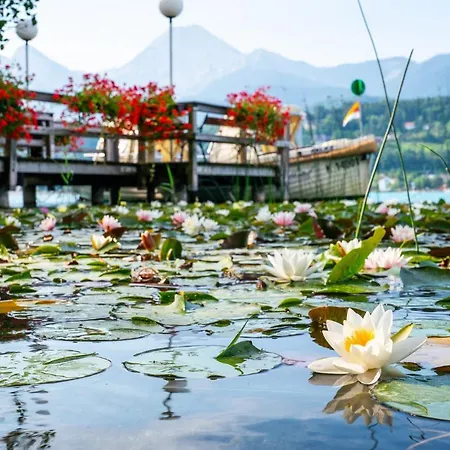 Inselhotel Faakersee מלון