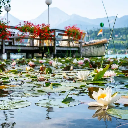 Inselhotel Faakersee فندق